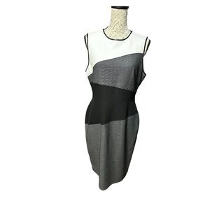 WHBM Color Block Dress with Faux Leather Trim Size 12P NWOT